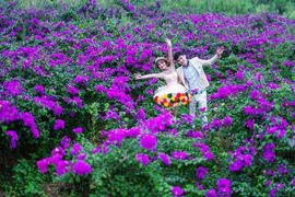 桂林花海景区主播照片