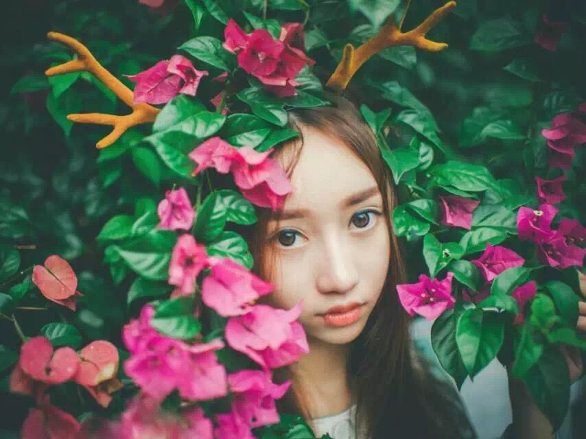 桂林花海景区的主播照片