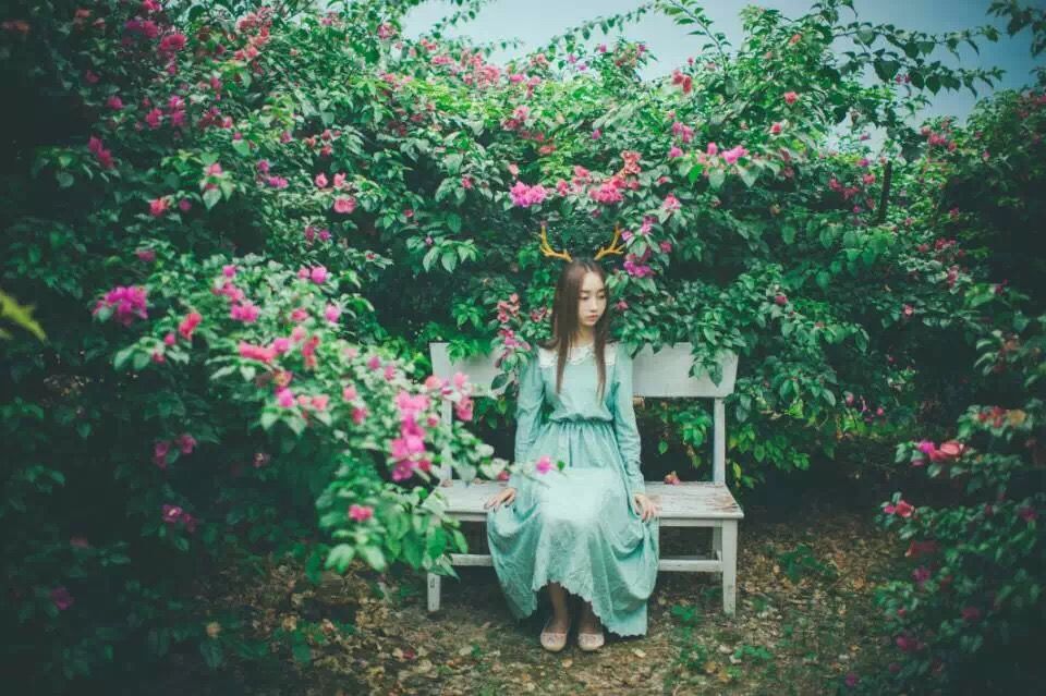 桂林花海景区的主播照片