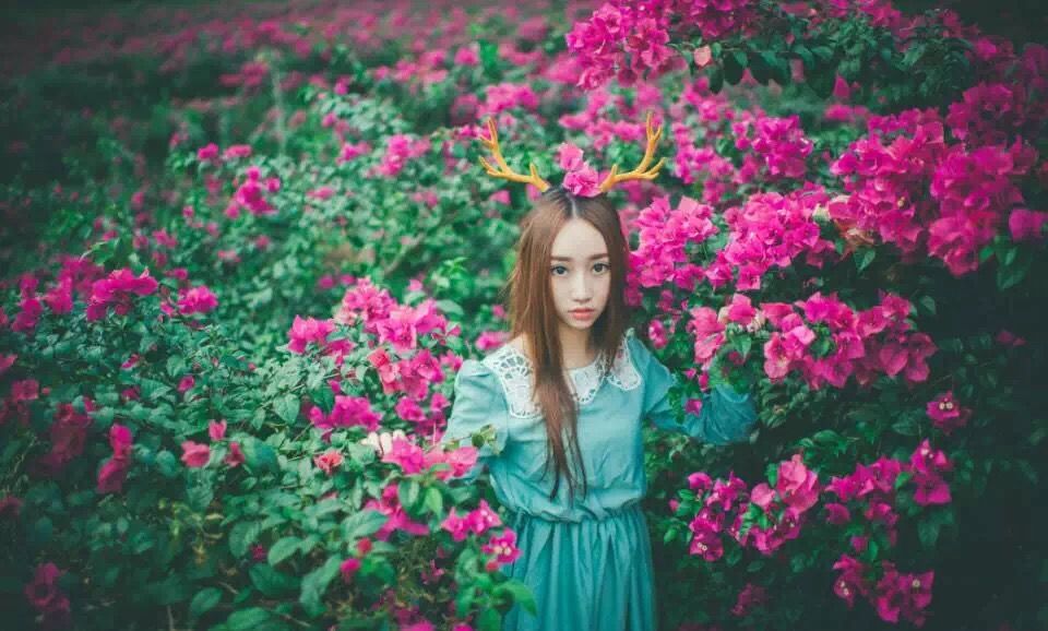 桂林花海景区的主播照片