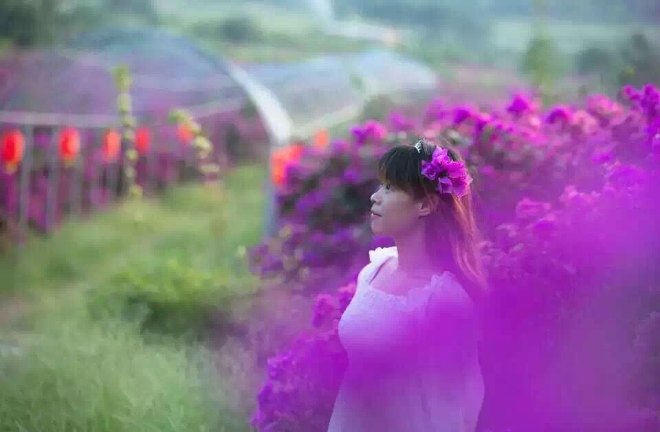 桂林花海景区的主播照片
