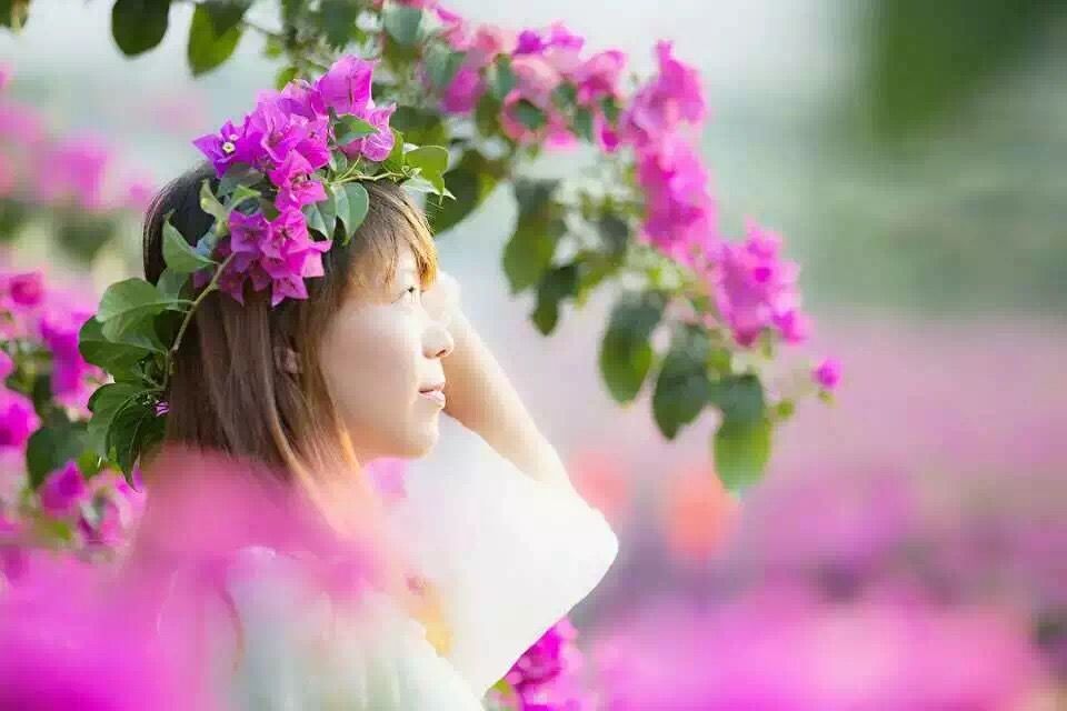 桂林花海景区的主播照片
