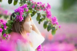 桂林花海景区主播照片