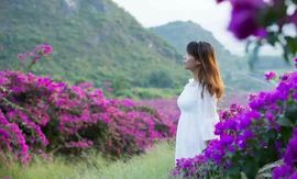 桂林花海主播照片