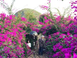 花海旅游主播照片
