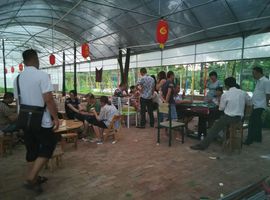 花海旅游主播照片
