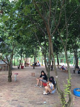 花海旅游主播照片