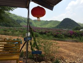 花海旅游主播照片