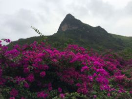 花海旅游主播照片