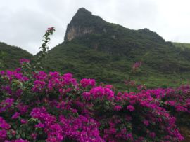 花海旅游主播照片