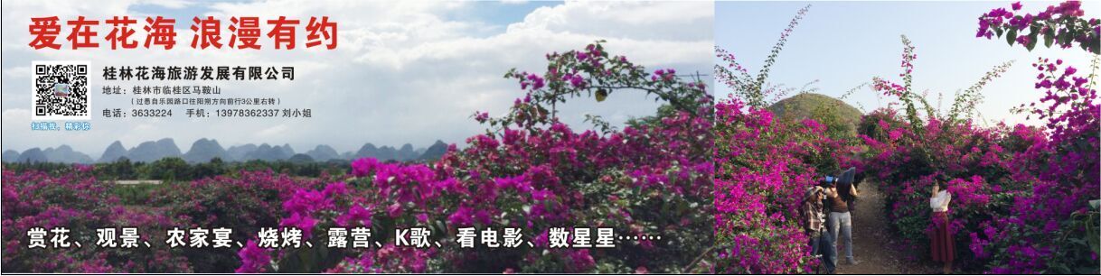 花海旅游的主播照片