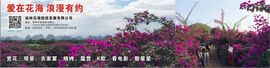 花海旅游主播照片