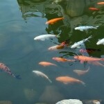 懂得珍惜do海报