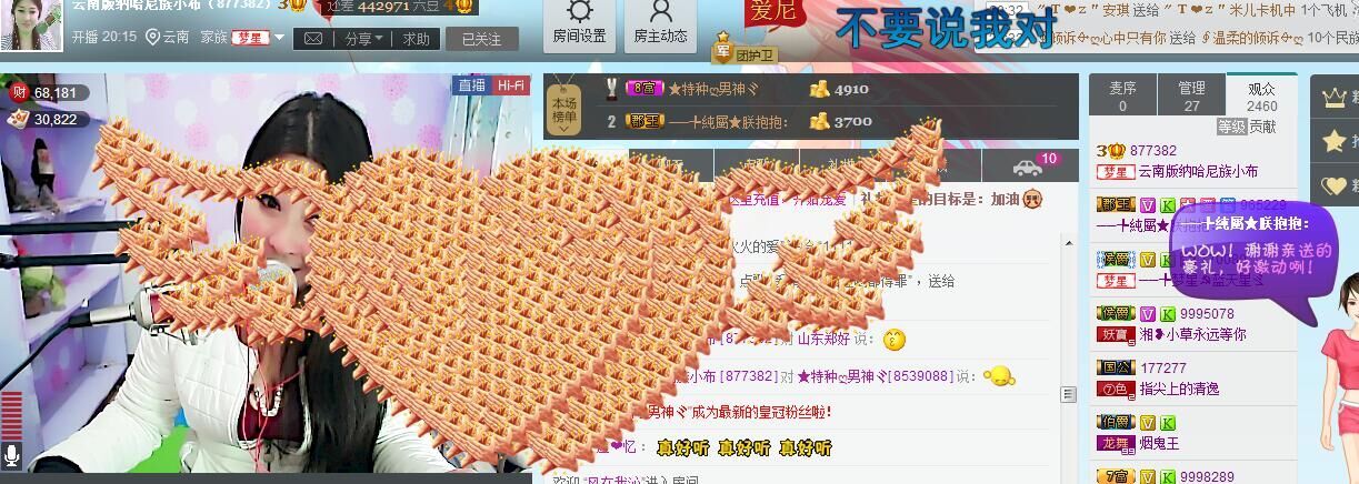 哈尼小布的主播照片
