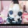 小鹿主人～海报