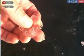 泓一户外主播照片