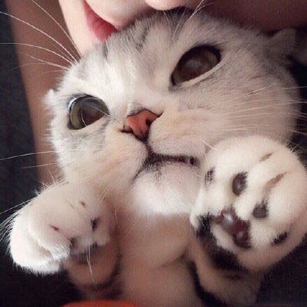 三水♥℡的主播照片