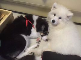 ✿...霓丽主播照片