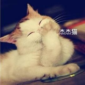 四川雨打湿了温州的夜主播照片