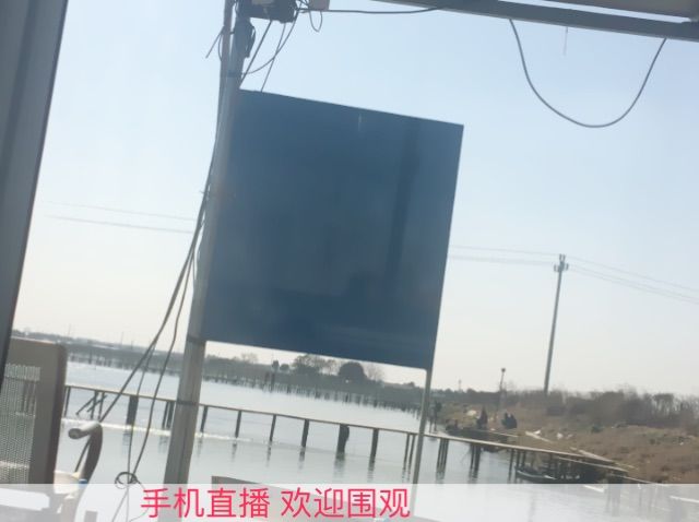 ❤️苗条的莴笋❤️的主播照片