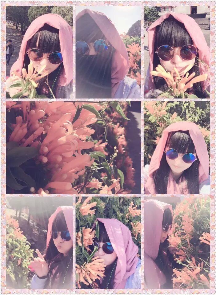 ❅绵羊大大❅主播照片