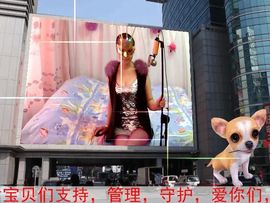 🌹喻海洋🌹主播照片