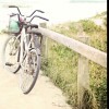 清澜j的头像
