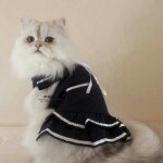 wo~小泥鳅