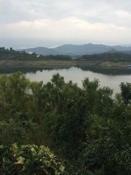 小天ㄨ主播照片