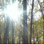 昵称违规，请重新修改海报