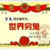坚持zp