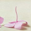 `蓝^.、羽、.丶