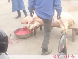 😱……主播照片