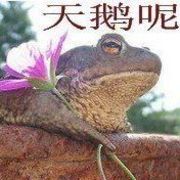 深夜☀灬苏熙的头像