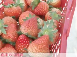 Sweet💫主播照片