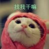 夏天的雪花b