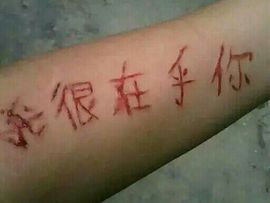 不是y帅哥主播照片