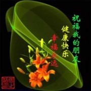 新人请多关注