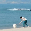 丅①站→迷離i海报