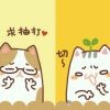 安静7c