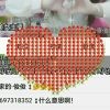 小俊俊yo