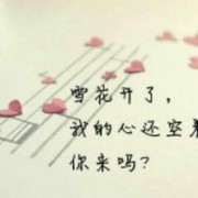 一生坦荡海报