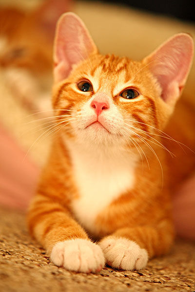 ☞小梁☜的图片