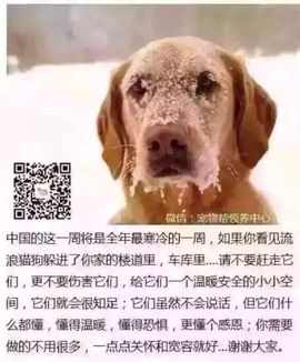 鹿哈哈baby主播照片