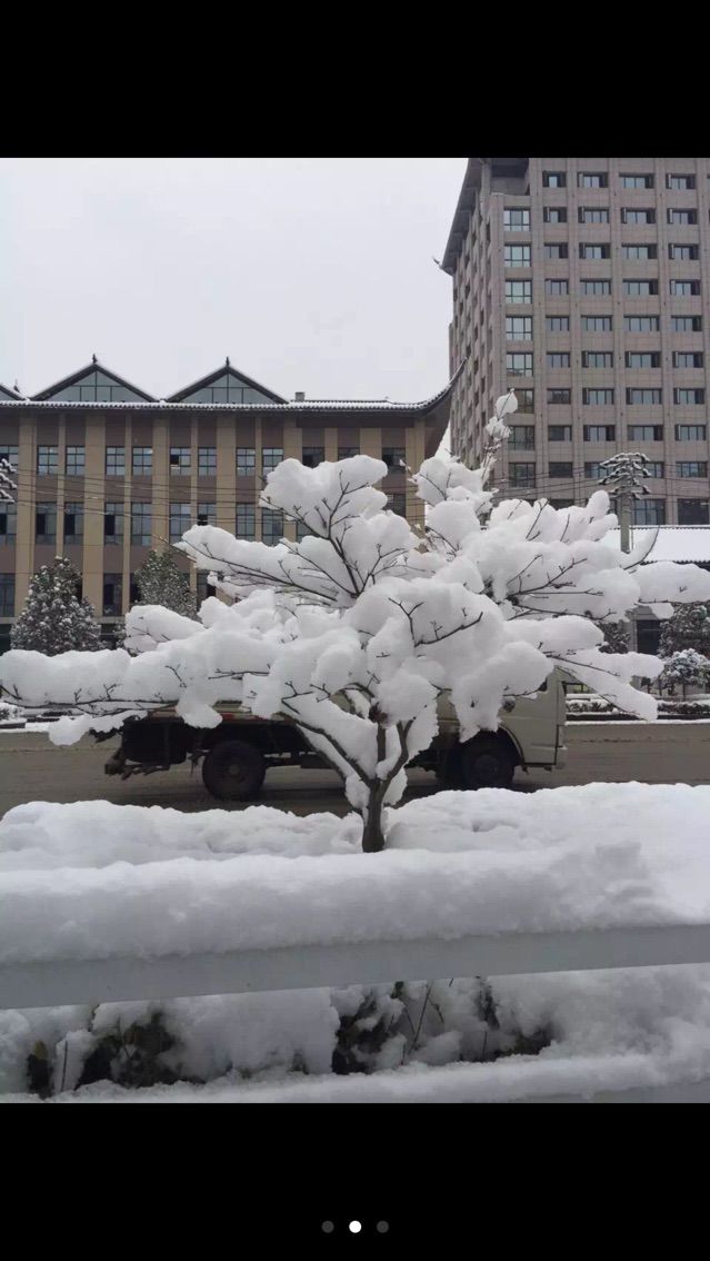 懋贳藁锝的主播照片