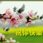 微信_2621200