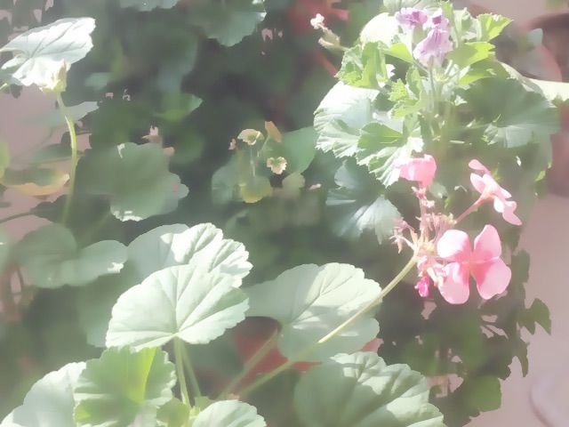 じ紫涵づ的主播照片