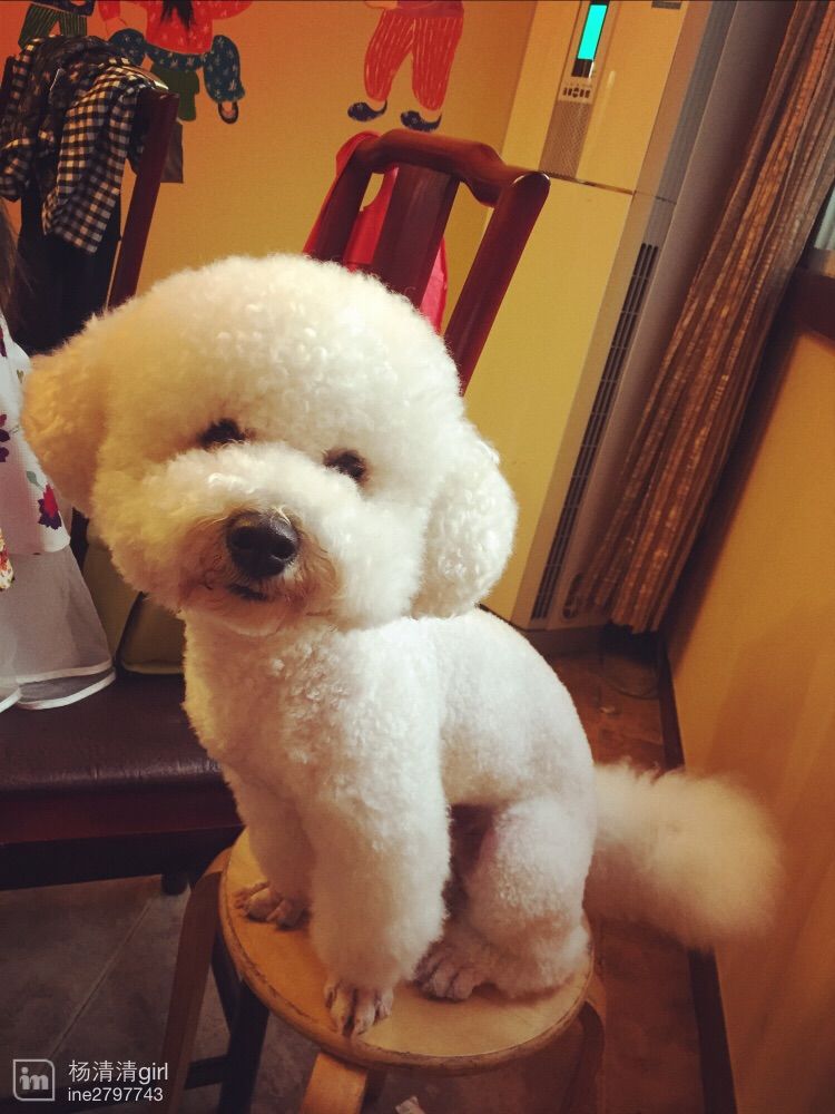 长乐时代_清清的主播照片