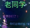 梦想与现实5