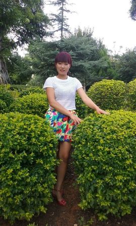 牡丹，花苑主播照片